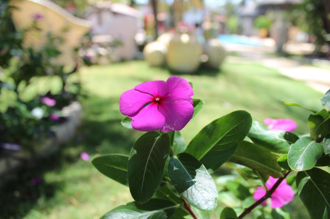 Hotel E Pousada La Dolce Vita Canoa Quebrada Buitenkant foto